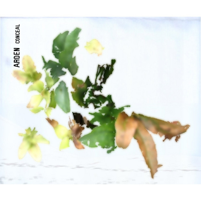 Conceal cover art