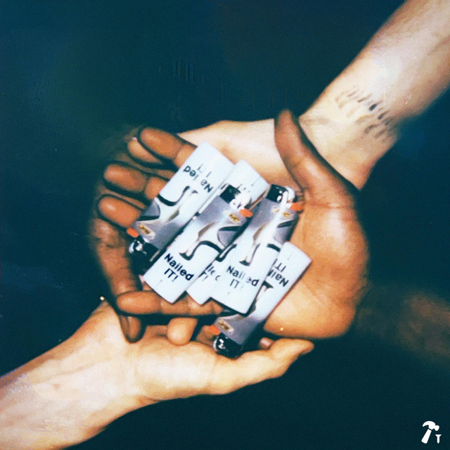 Nailed it cover art