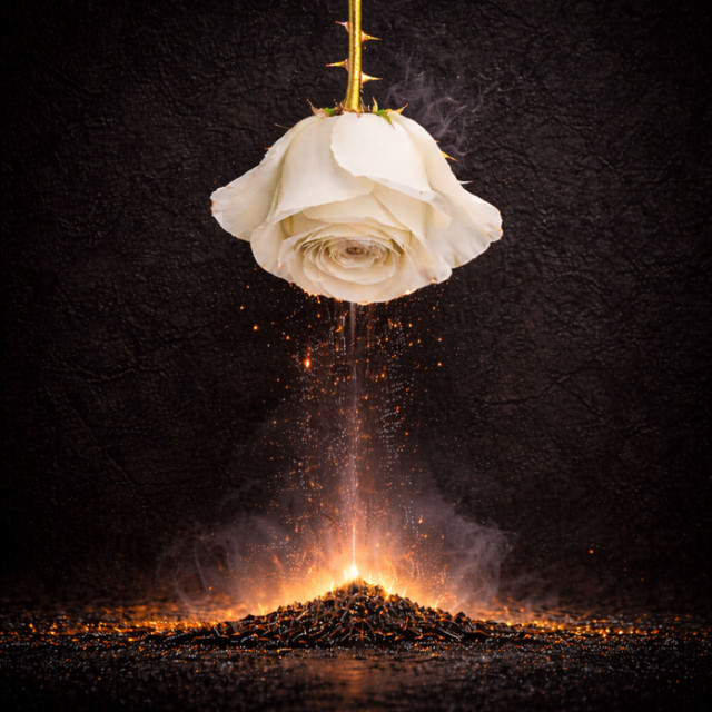 album image