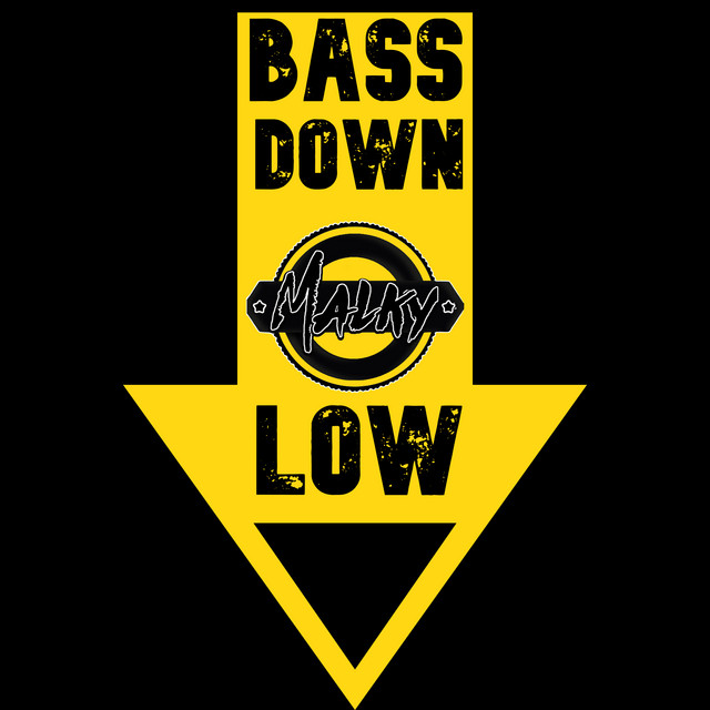 Bass Down Low (Extended Mix)