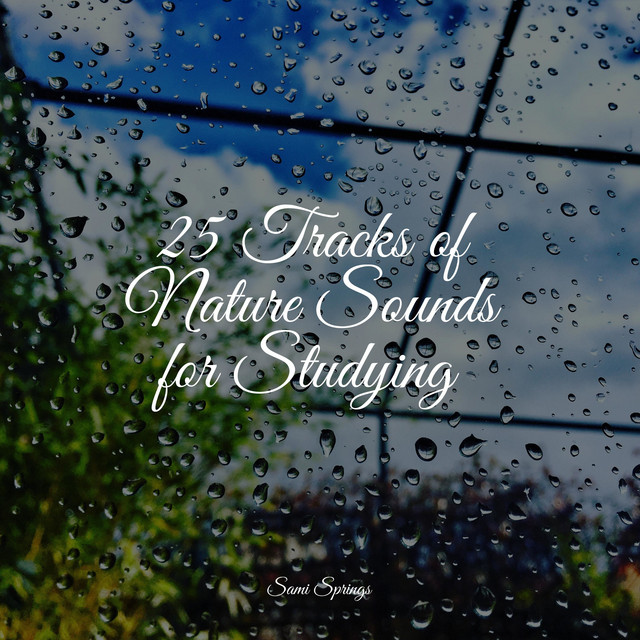 25 Tracks of Nature Sounds for Studying - Album by Pet Care Music ...