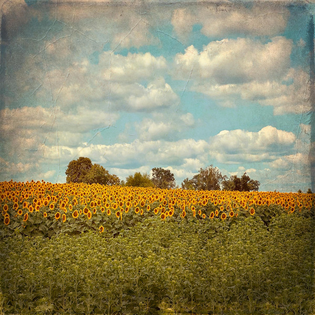 There Was Nothing Left (single)