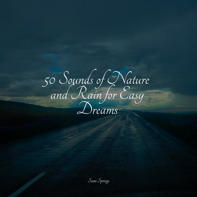 50 Sounds of Rain for Ultimate Spa Serenity - Album by Reiki Music ...