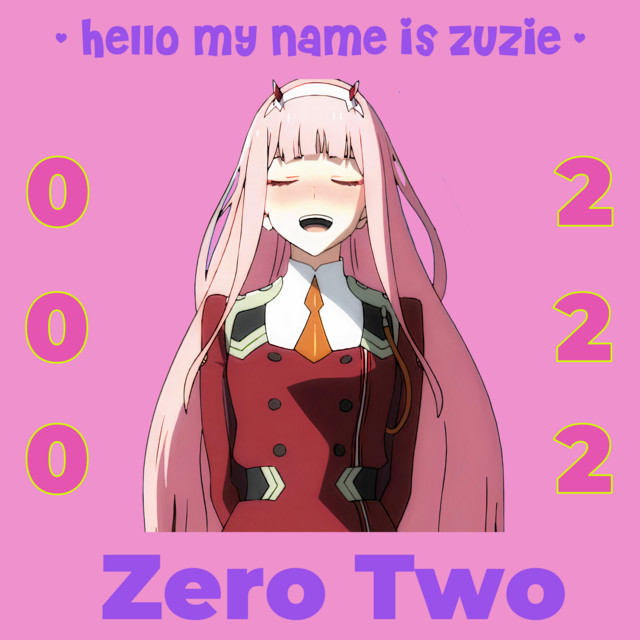 Hello, My Name is Zuzie - Remix