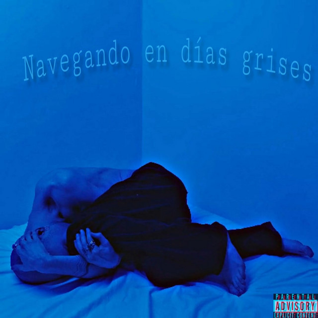 Navegando en días grises cover