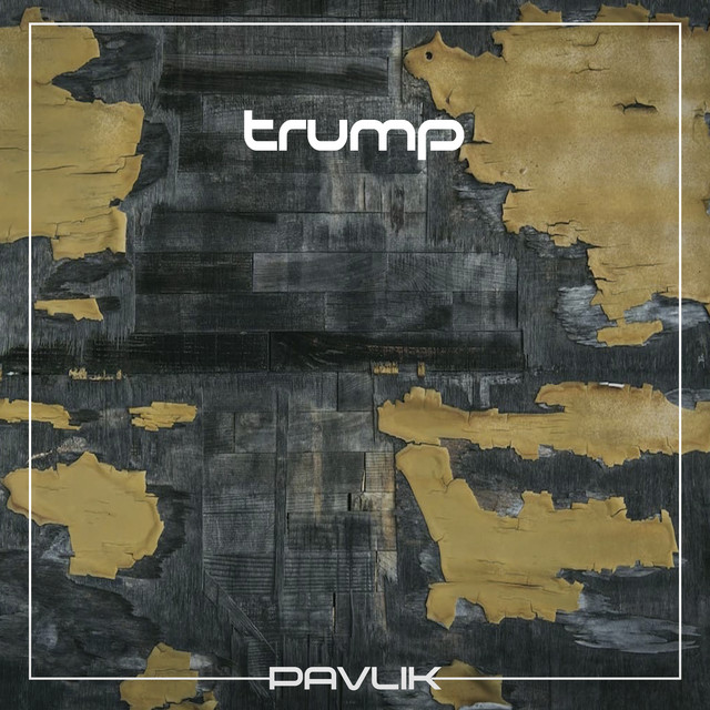 Обкладинка: Trump — Pavlik