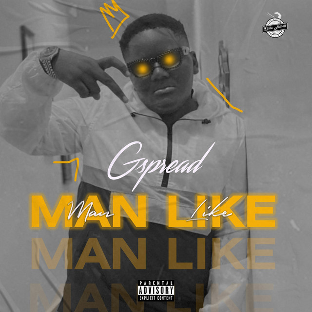 Man Like cover art