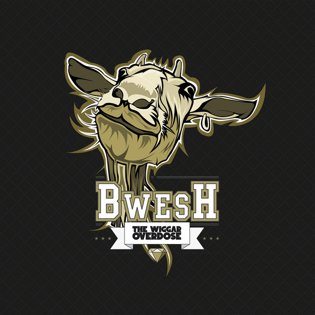 Bwesh cover