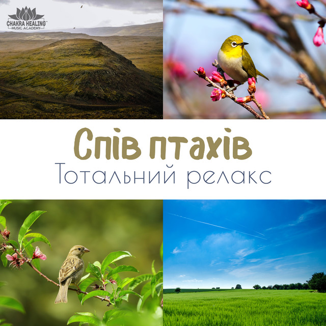 Спів птахів (Тотальний релакс, Східна, Екзотична музика, Звуки природи, Спокійний сон, Медитація, Музика для відпочинку) cover art