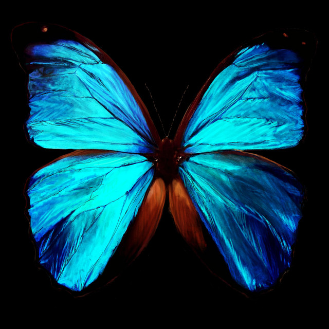 Collide cover