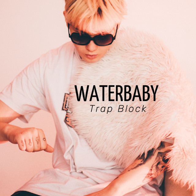 Trap Block cover