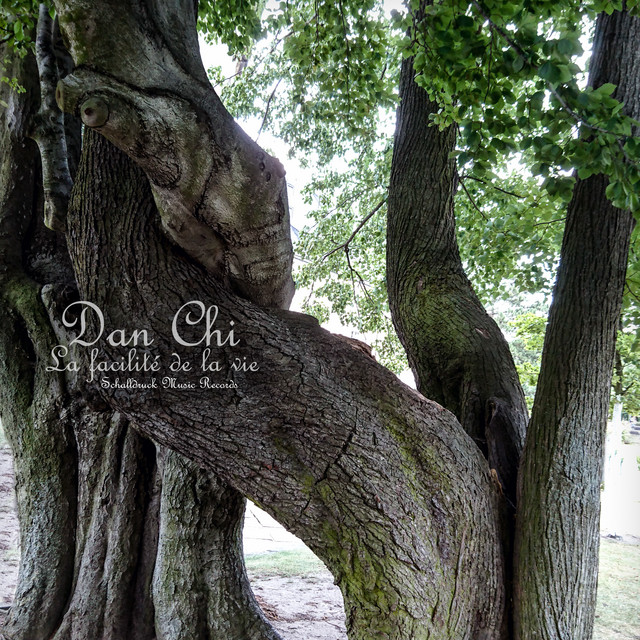 La facilité de la vie cover art