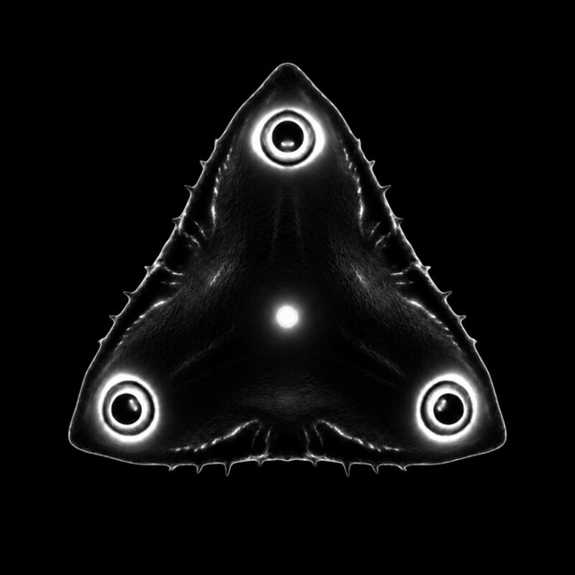 HAUNTED album image