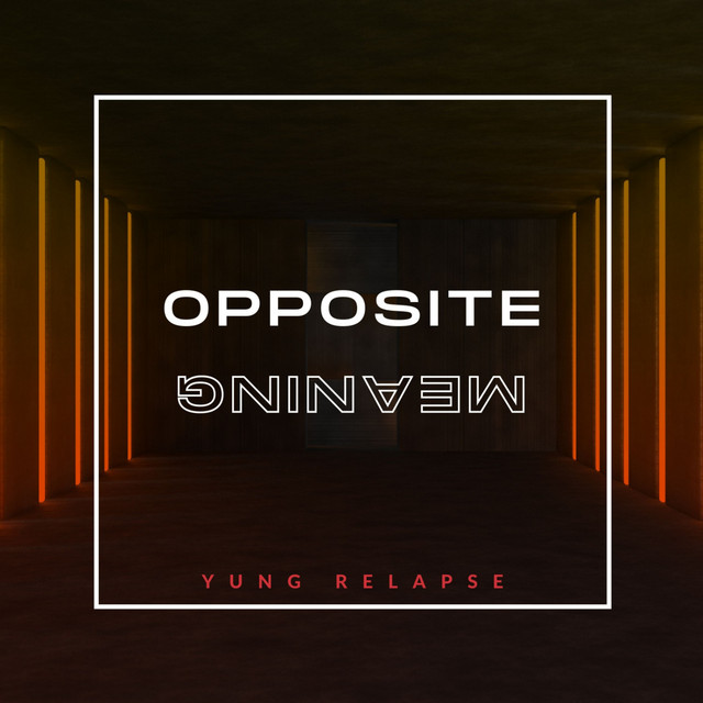 Opposite Meaning cover art