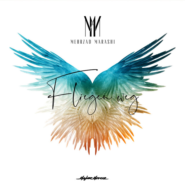 کاور آهنگ Fliegen weg