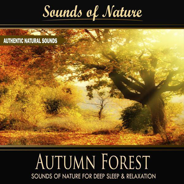 Autumn Forest (Nature Sounds) - Single by Sounds of Nature for Deep ...