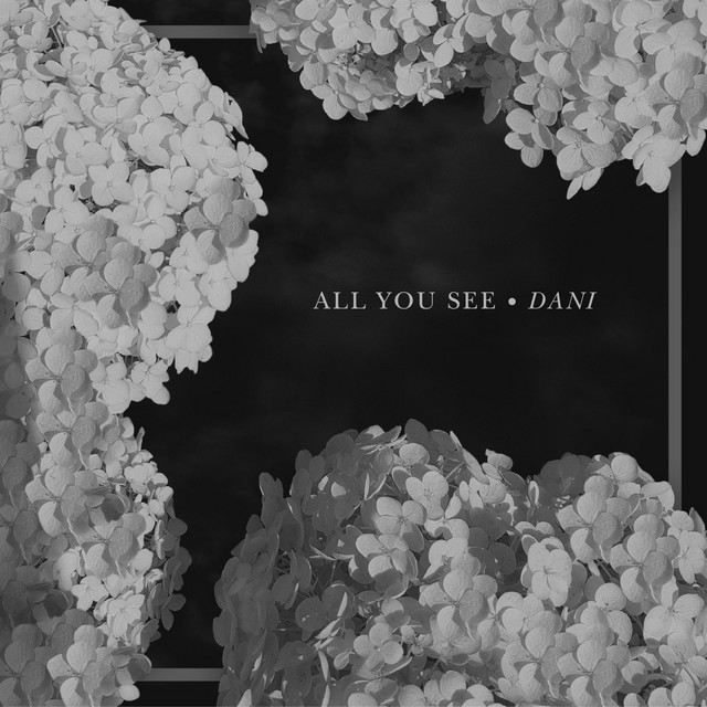All You See cover art