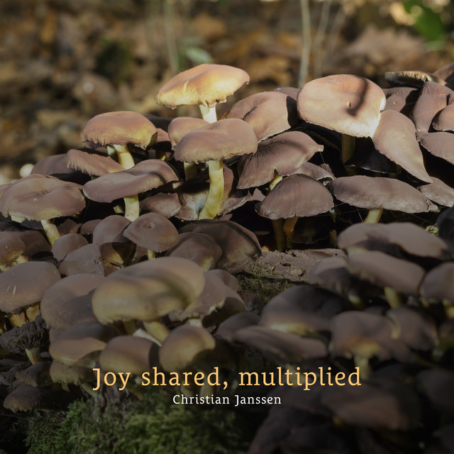 Joy shared, multiplied album image