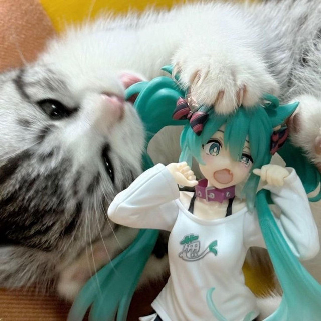 kiss her stupid face