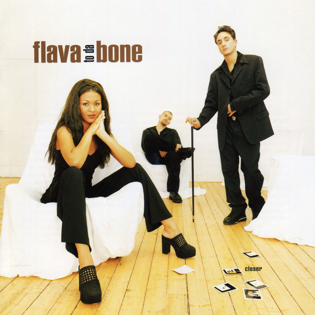 Closer cover