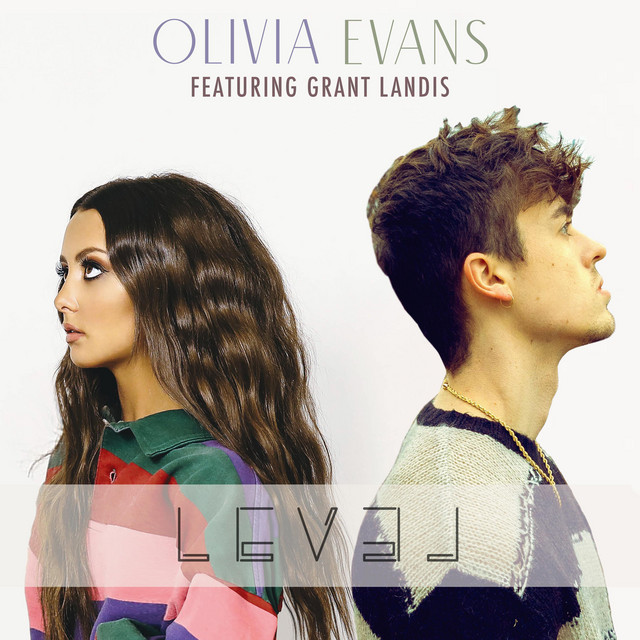 Level cover art