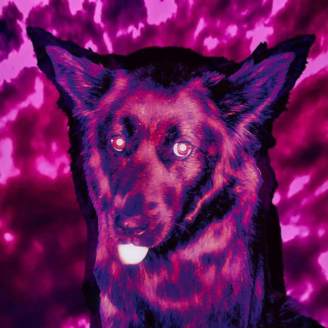 bleedingdogs cover art
