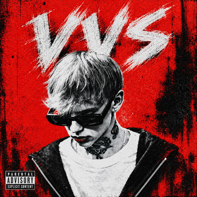 Обкладинка: VVS — LEBEDIUK