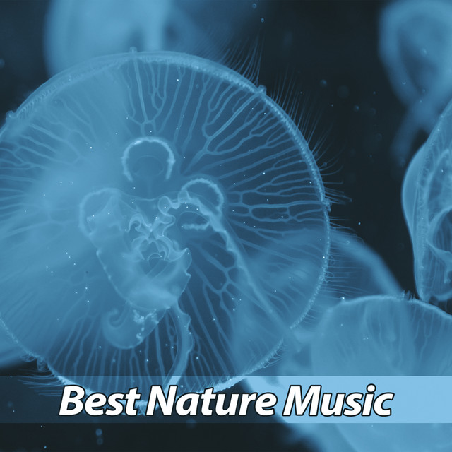 Best Nature Music cover art