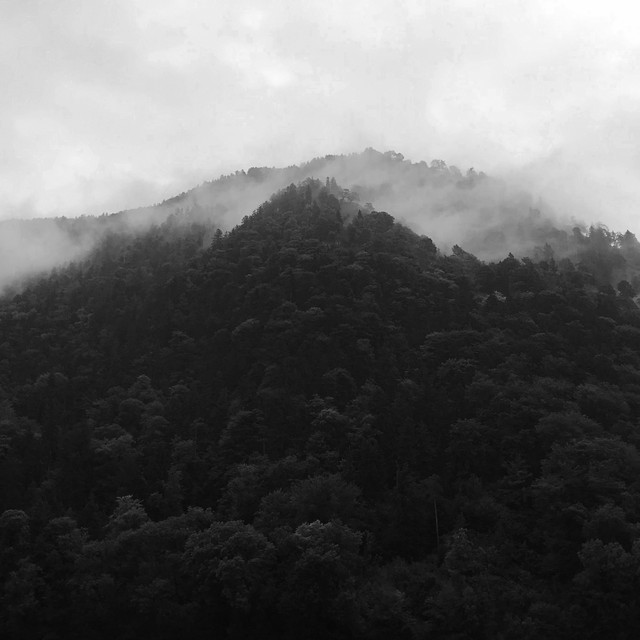 Environmental Music for Libri Bookstores cover art