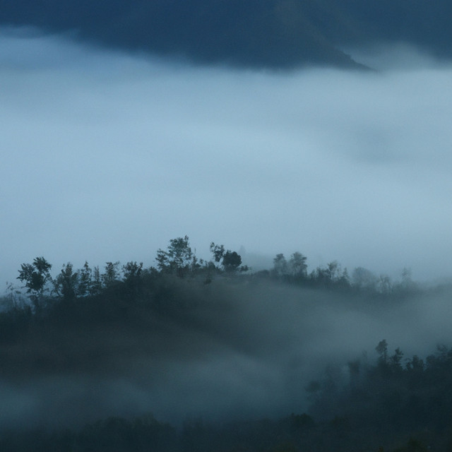 Я НЕНАВИЖУ ОНЕВИНА