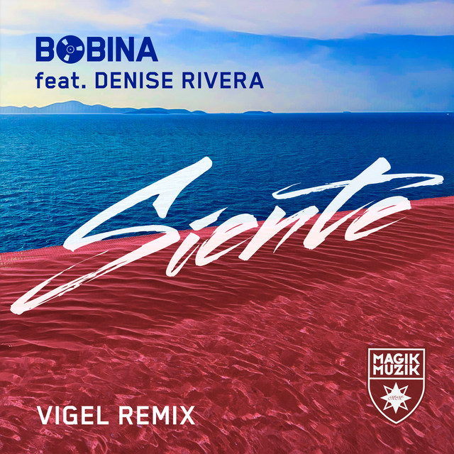 Siente feat. Denise Rivera - Vigel Extended Remix album art