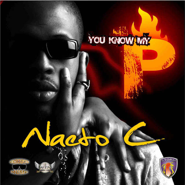 U Know My P cover art