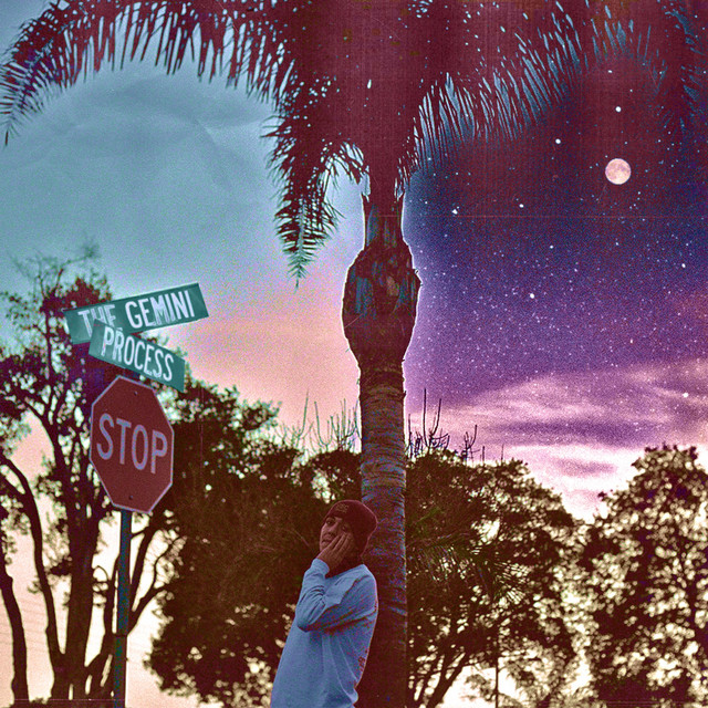 The Gemini Process cover art