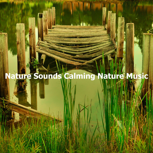 Nature Sounds Calming Nature Music - Album by Nature Sounds Nature ...