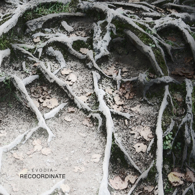 Recoordinate cover