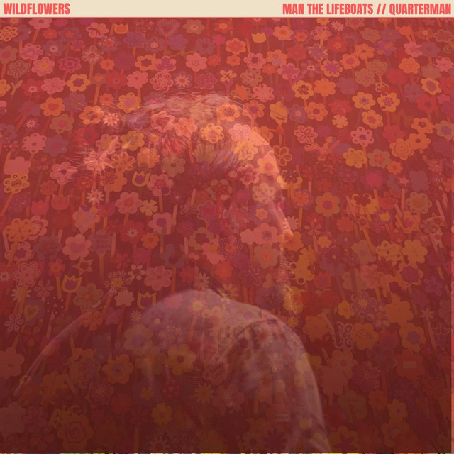 Wildflowers cover