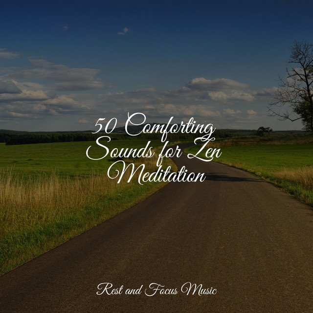 50 Comforting Sounds for Zen Meditation - Album by Lullabies for Deep ...