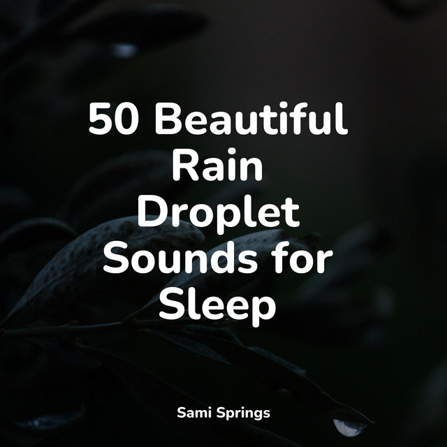 50 Comforting Rain Sounds for Sleep and Serenity - Album by Classical ...