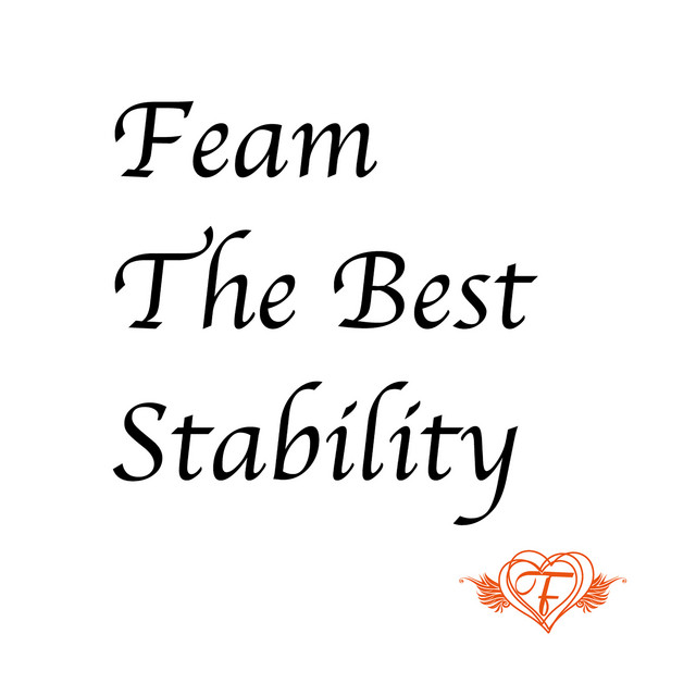 Feam The Best Stability cover art