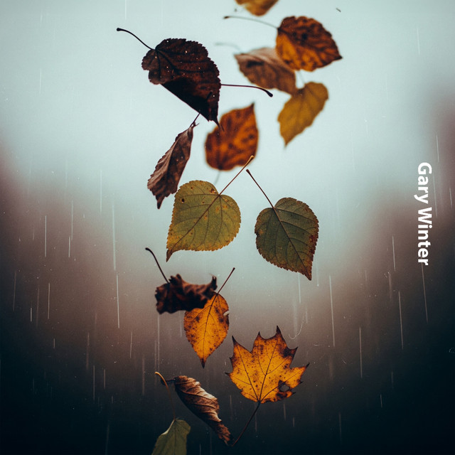 Letting Go Like Leaves cover art