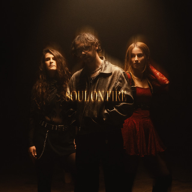 Soul On Fire album image