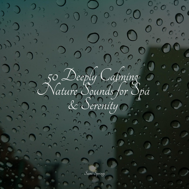 50 Rain Sounds for Sleep and Chilling Out - Album by Nature Soundscape ...