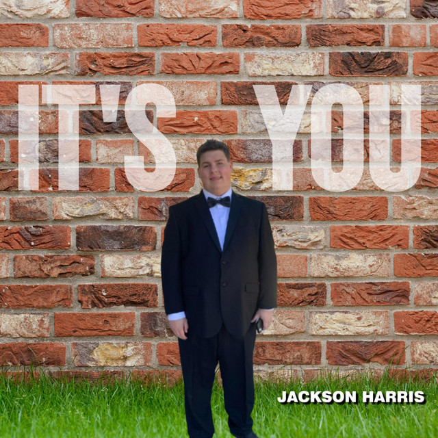 It's You - Single by Jackson Harris | Spotify