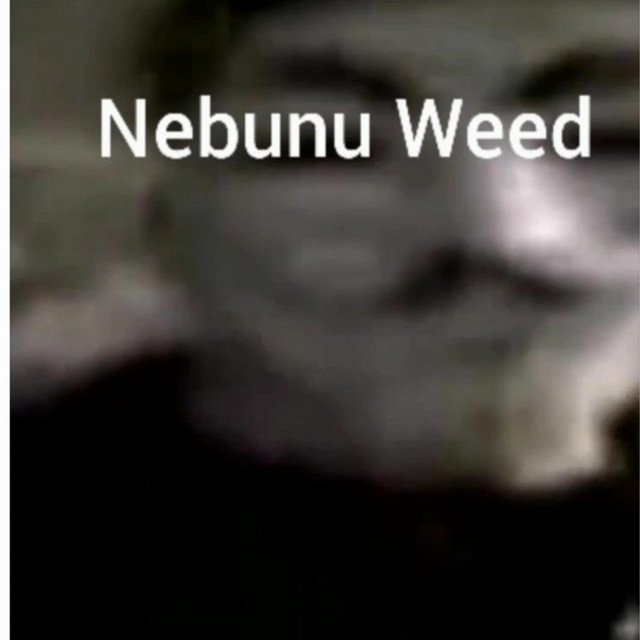 nebunu weed 2 cover art
