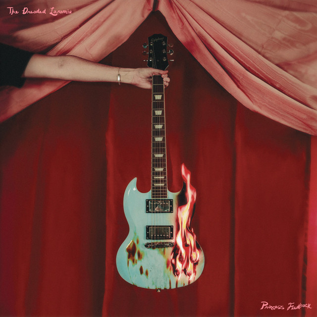 Princess Feedback cover art