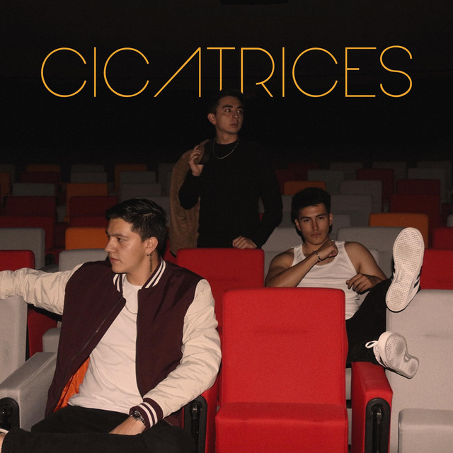 Cicatrices cover art