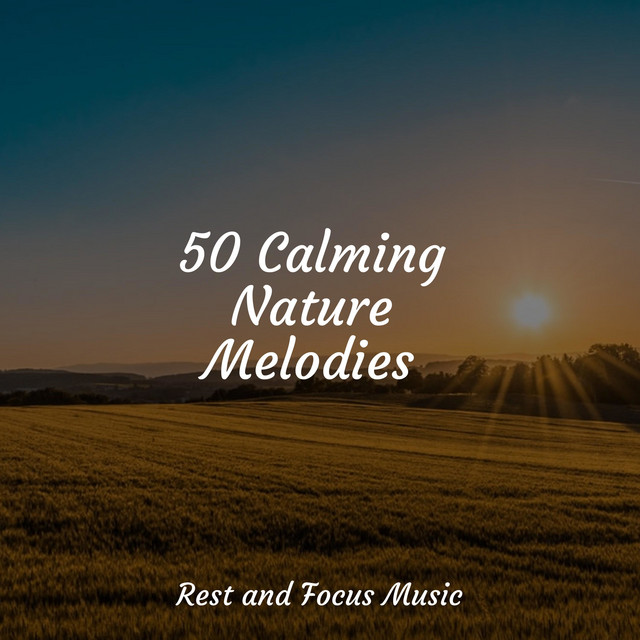 50 Calming Nature Melodies - Album by Amazing Spa Music | Spotify