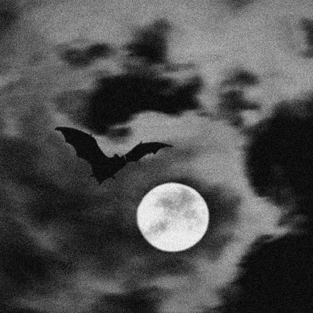 Vamp v2