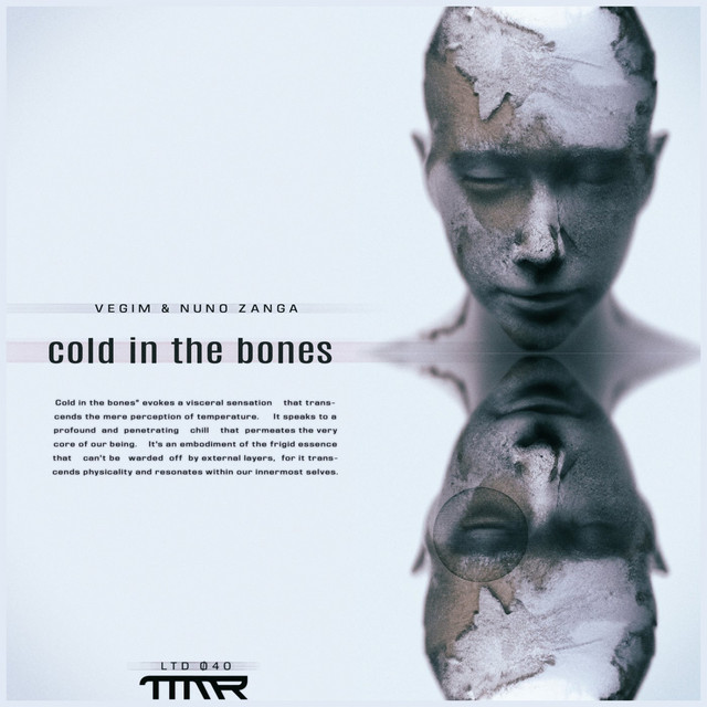 Cold in the Bones cover
