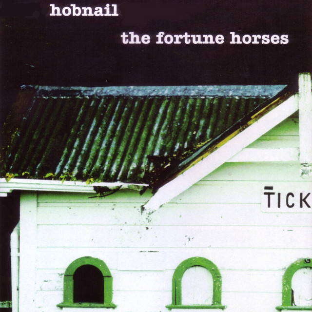 The Fortune Horses cover